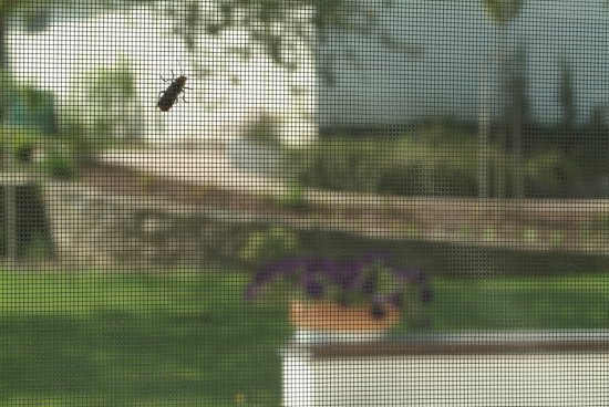 rozcestnik-site-proti-hmyzu